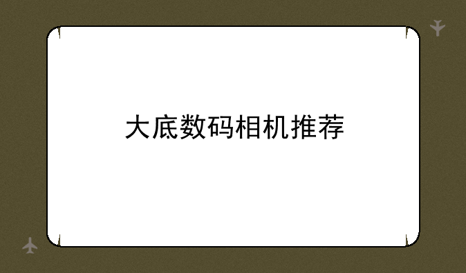 大底数码相机推荐