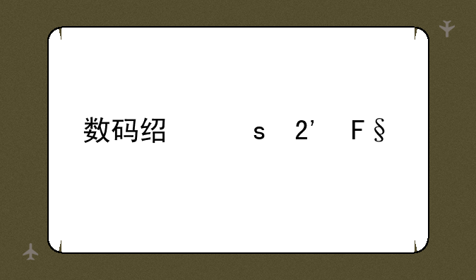 数码经络按摩仪