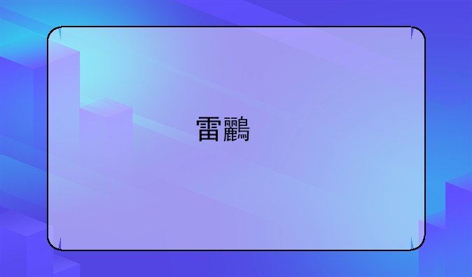 雷鸟手机：体验与价格的博弈——深度评测