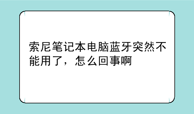 索尼笔记本电脑蓝牙突然不能用了，怎么回事啊