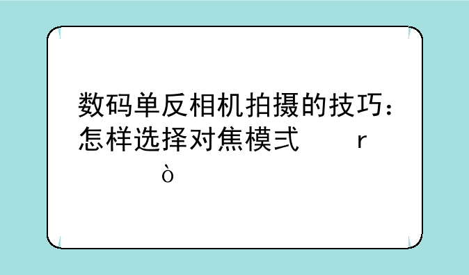 数码单反相机拍摄的技巧：怎样选择对焦模式最佳？