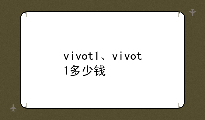 vivot1、vivot1多少钱