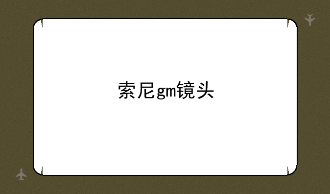 索尼gm镜头