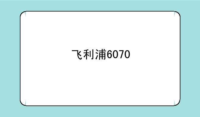 飞利浦6070